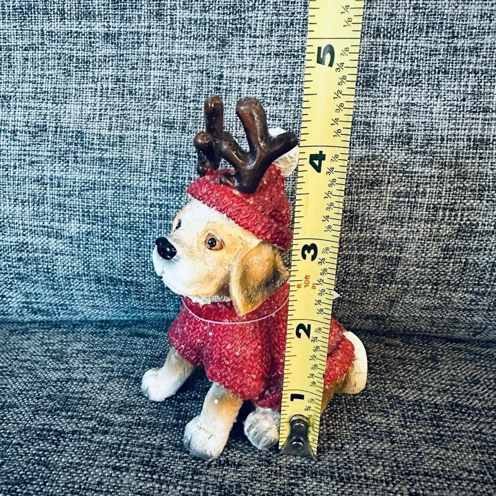N/A nwt adorable